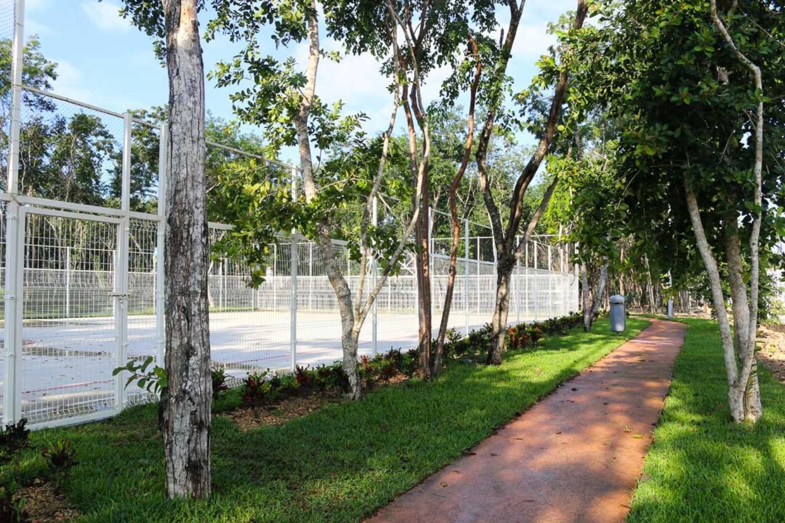 Canchas deportivas