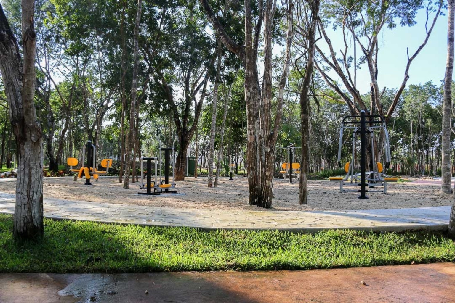 Gimnasio al aire libre